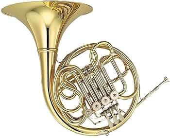 YAMAHA フレンチホルン YHR-567Dケース付き 610+NfYlw8L._AC_UF350,